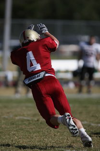 阿尔卑斯球队士气高昂，力争晋级下一轮，阿尔卑斯下一句是什么  第2张